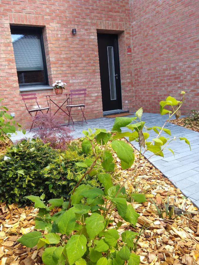 Camphin-en-Pevele Les Agapanthes B&B 외부 사진